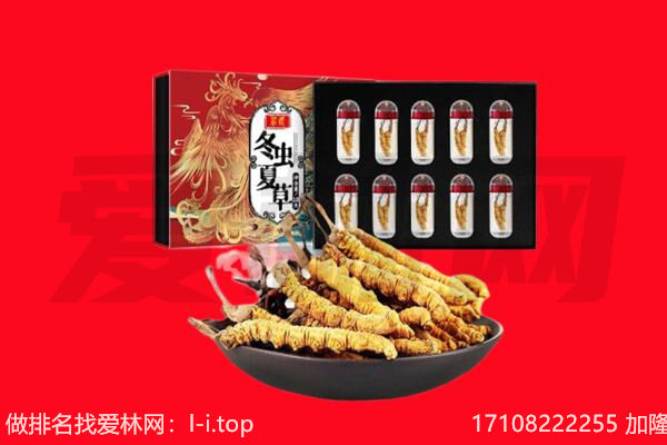 钦南区回收虫草.jpg
